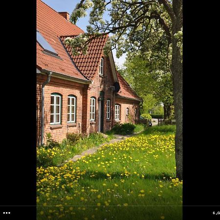 Landhaus Hohenfelde Hohenfelde  Exterior foto